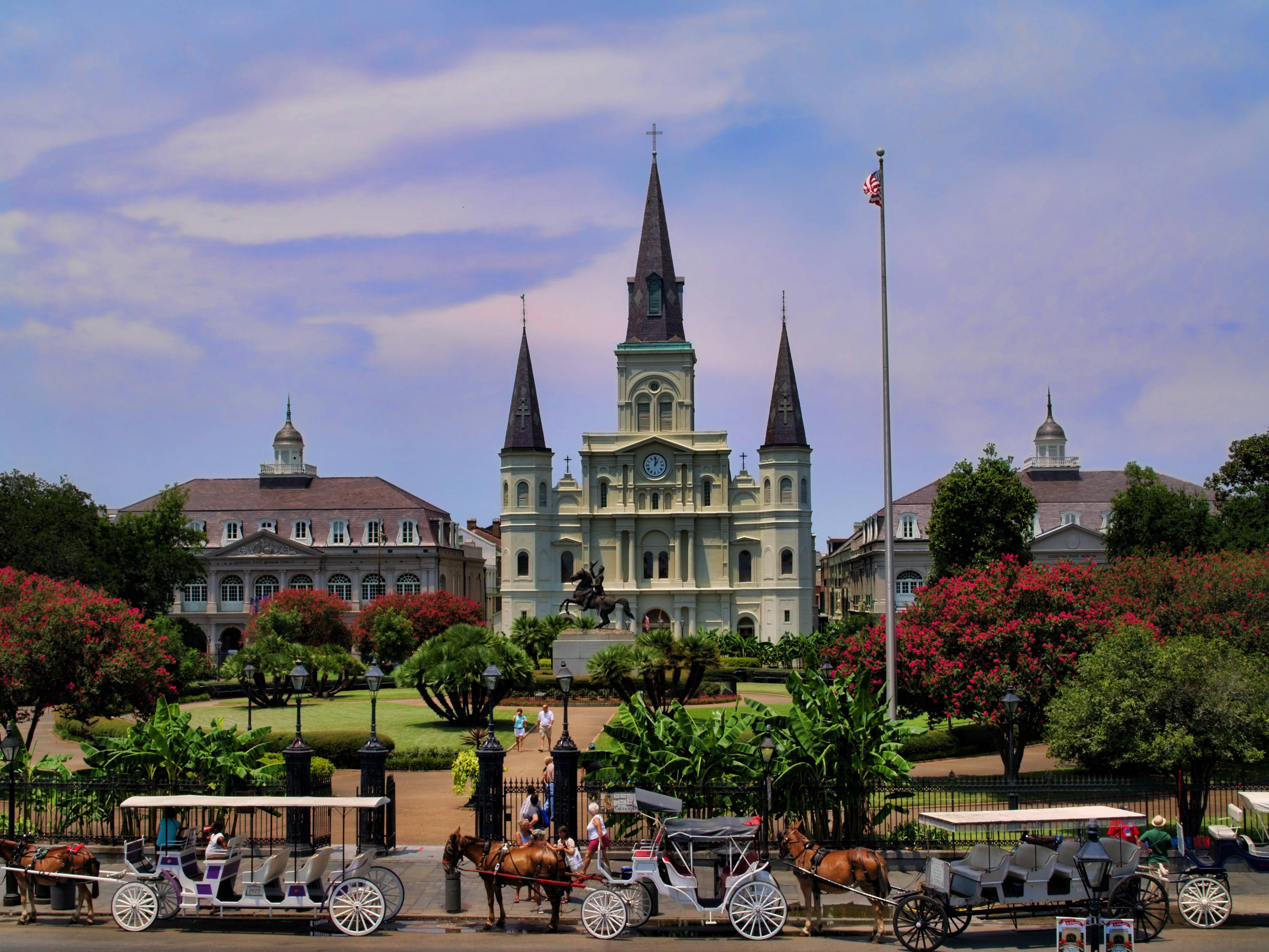 Hop on hop off new orleans coupons