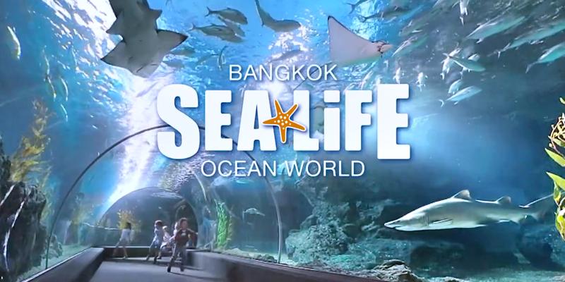 sea life bangkok ocean