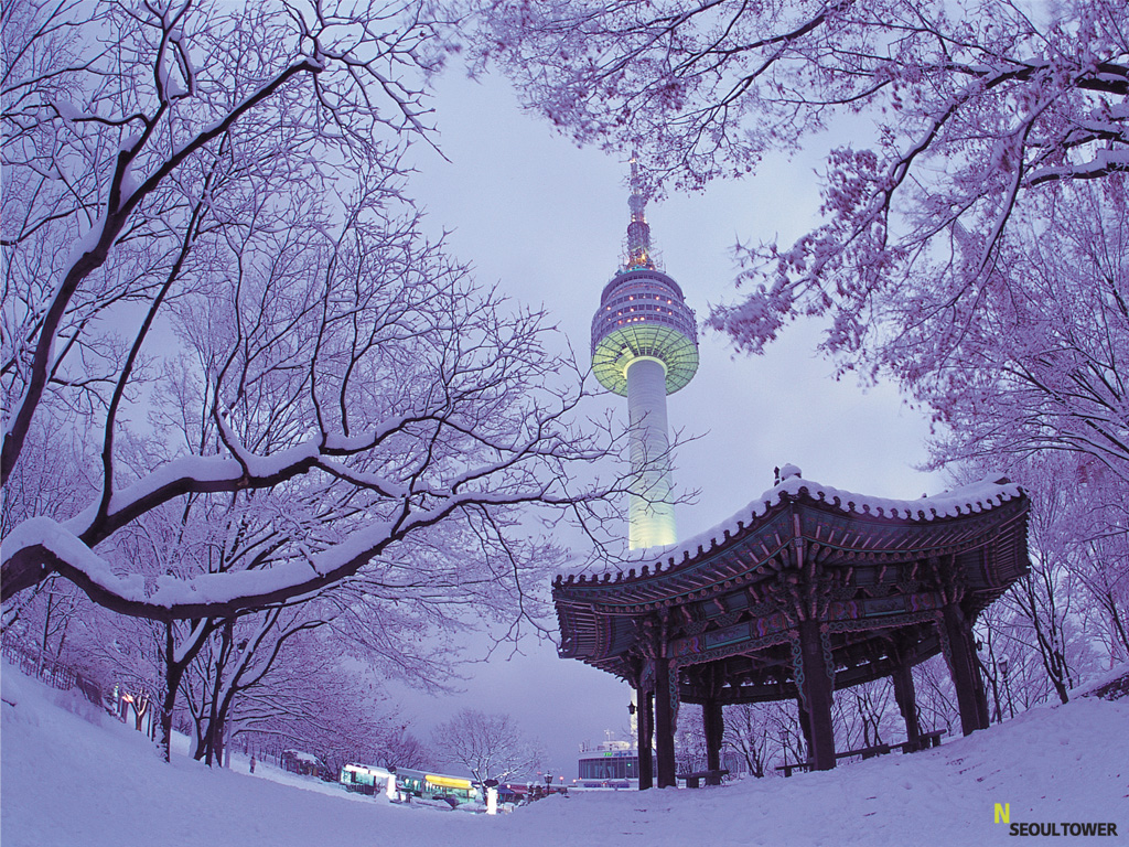 N seoul tower discount coupon